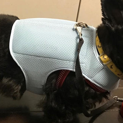 NEW Horay Cooling Comfort Vest for Dogs Available in 3 Colors! - ONLY at HorayWorld.com! - Soft, reusable. Heat cramps / heat exhaustion / heatstroke prevention for dogs.